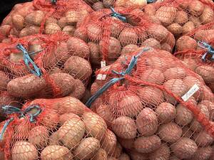 Картофельный рай: в Брянске цены упали до 20 рублей за кг