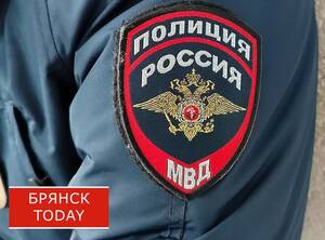 Брянского «убийцу» оштрафовали на 1000 рублей