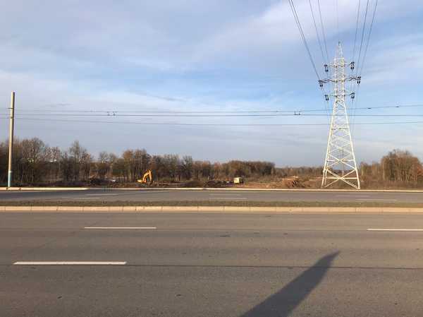 В Брянске у Мутного озера начали прорубать просеку для новой дороги