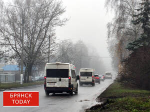 Сразу три суровых погодных явления угрожают брянцам
