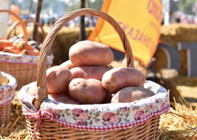 В Брянске на Свенской ярмарке выбрали лучше блюдо из картофеля
