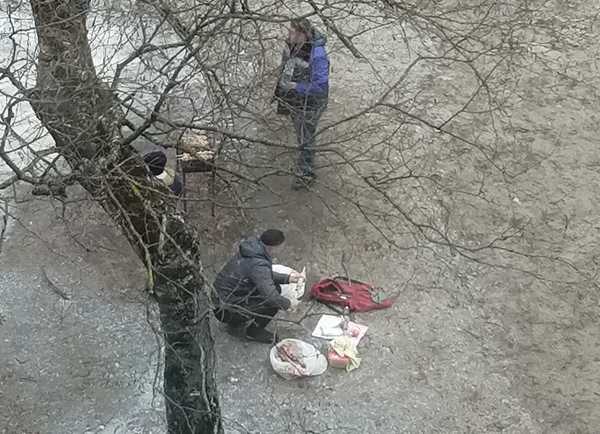 В Брянске сняли на фото пикник во дворе многоэтажки