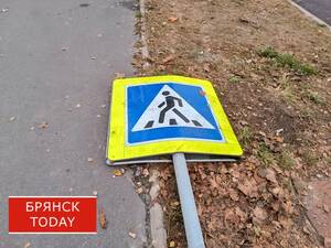 В Брянске устроят очередную облаву на пешеходов