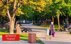 Брянцы потеряли более 10 миллионов рублей после телефонных разговоров