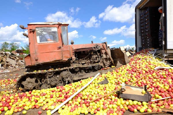 На брянской границе уничтожили 32 тонны подозрительных яблок