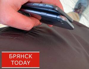 Полиция предупредила брянцев о рассылке опасного Mamont