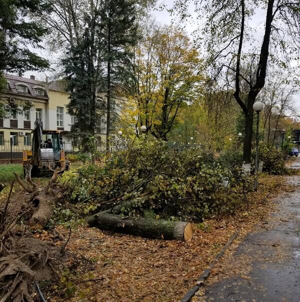 Фото брянск бежицкий район