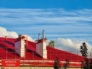 Брянскую область ждут заморозки до -1°C в конце сентября