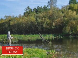 В Брянской области осудили двух рыбаков-браконьеров