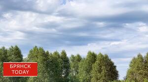 В Брянской области температура воздуха поднимется выше 30 градусов