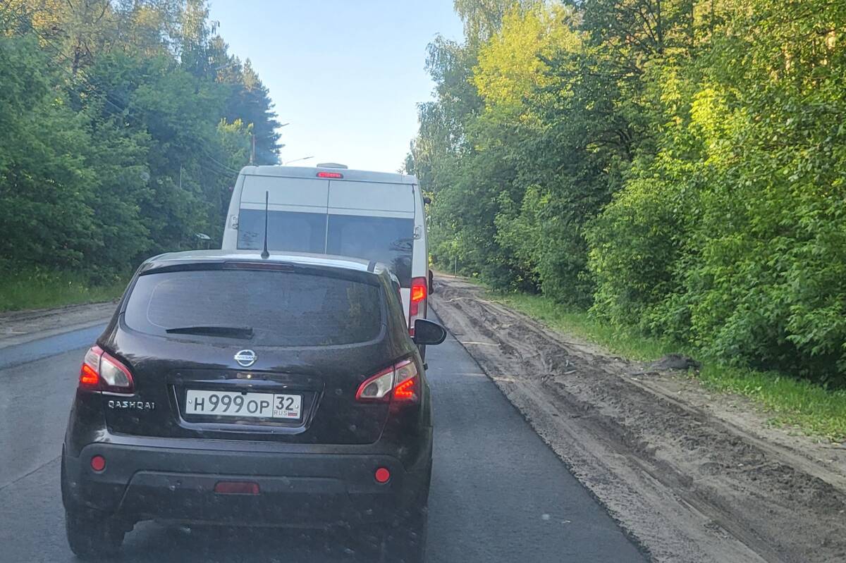 В Брянске сняли на фото водителя-свинтуса