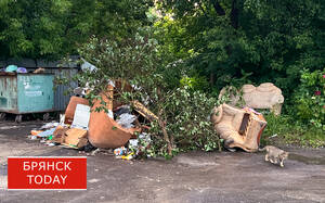 Свалку на проспекте Ленина в Брянске ликвидировали по сигналу из ЦУР