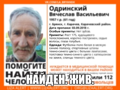 Пропавшего в Брянской области 61-летнего Вячеслава Одринского нашли живым