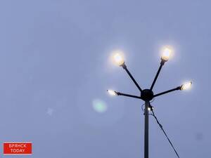 Часть Новозыбковского округа осталась без света из-за аварии