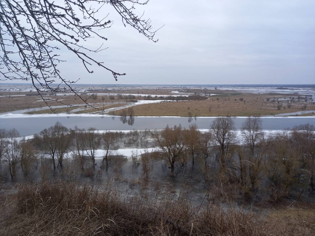В Брянской области зимний паводок пошел на спад
