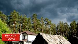 В Брянской области объявили штормовое предупреждение