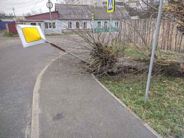 В Брянске дерево рухнуло на дорожный знак на улице Володарского
