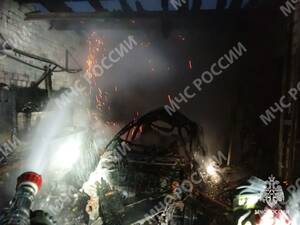 В Бежицком районе Брянска машина сгорела вместе с гаражом