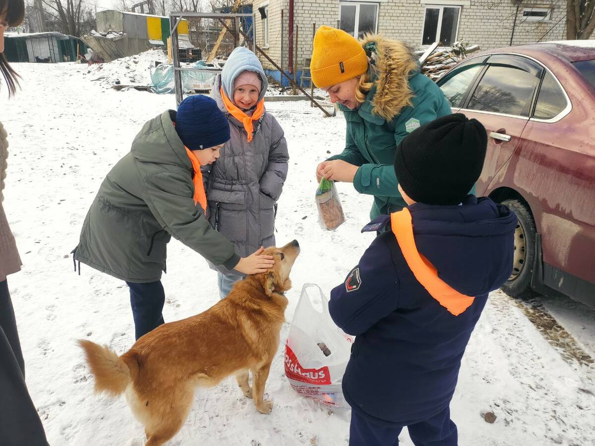 Юные брянские волонтеры накормили собак в приюте