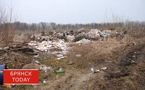 Незаконная свалка ликвидирована в Брянске после вмешательства прокуратуры