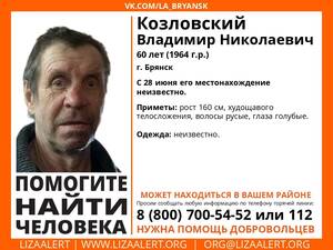 В Брянске больше месяца ищут пропавшего 60-летнего Владимира Козловского