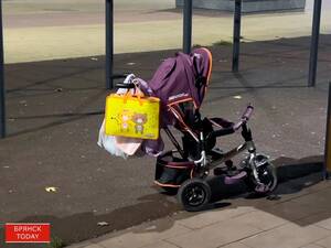 Брянчанка «родила» троих несуществующих детей ради наживы