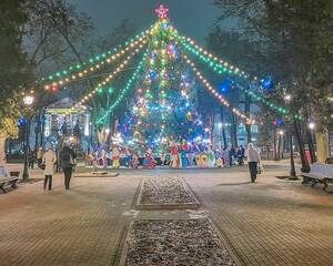 Жители Брянской области могут выбрать лучшую новогоднюю ёлку