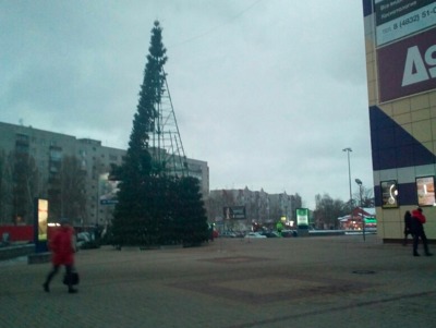 В Брянске возле ТРЦ «БУМ-сити» установили новогоднюю ёлку
