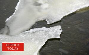 В Брянской области закрыли доступ к замерзающим водоемам