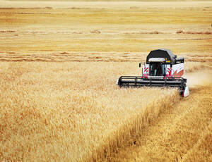 Александр и Николай Титенок: «ACROS 595 Plus — это и мощь, и комфорт, и выгода»