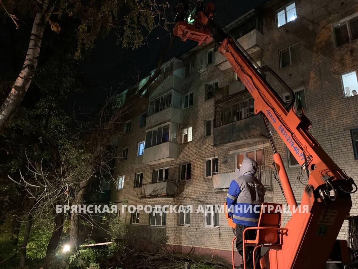 В Брянске спасатели убрали упавшую на многоэтажку огромную ветку |  16.10.2023 | Брянск - БезФормата