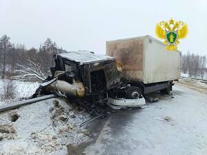 Брянский мальчик вышел из комы после страшного ДТП в Калужской области