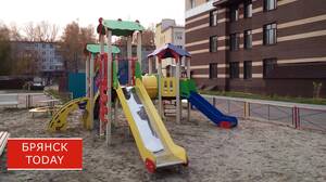 Игрушечный тигрёнок из Брянска спас жизнь российскому бойцу в зоне СВО