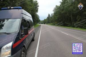 Поливал огород из пожарной цистерны: в Брянске наказали замначальника Упрлесами