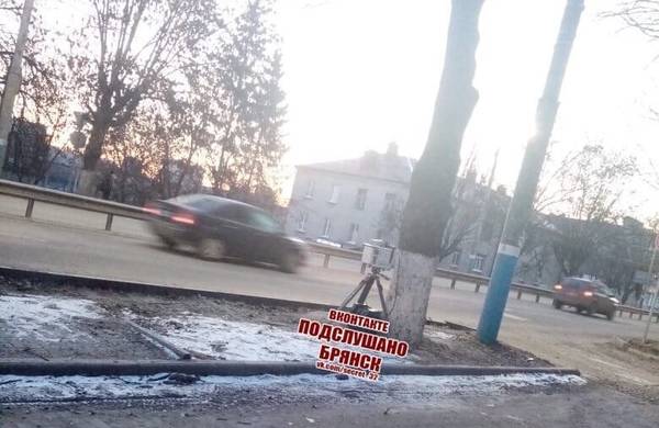 В Брянске спрятали фотоловушку возле «Полтинника»
