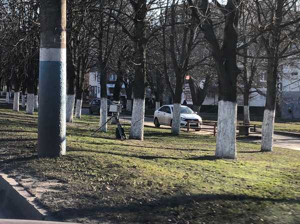 В Брянске фотоловушку спрятали между деревьями у 51 школы