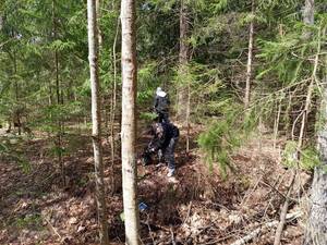 В Брянске привели в порядок дорогу к памятнику лесникам-партизанам