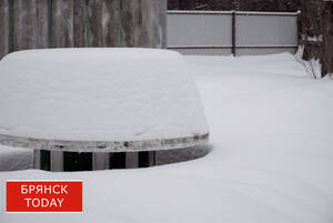 Циклон «Валли» засыпал Брянщину 15 сантиметрами снега за полдня