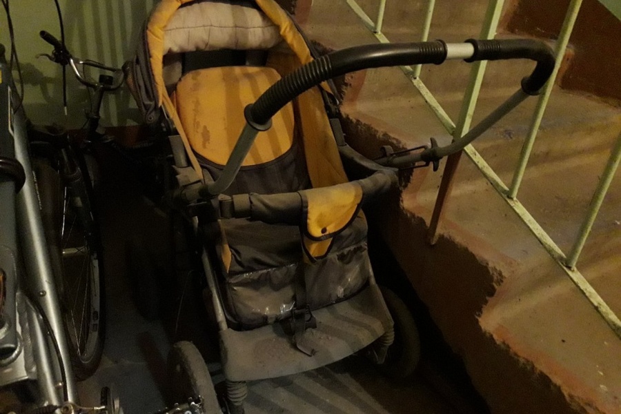 В Сельцо вор-рецидивист украл детскую коляску