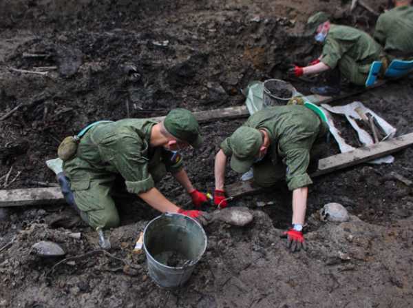 Российские военные помогут отыскать на Брянщине останки немецких солдат 