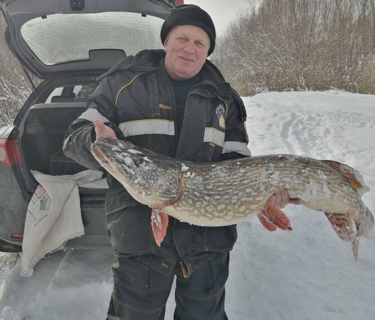 В Брянске рыбак выловил в озере Барсучья Грива щуку весом 10,58 килограмма