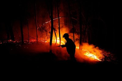 Жителей Брянской области предупредили о росте пожароопасности