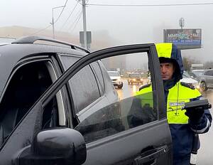 В Брянской области поймали 134 любителя тонированных авто