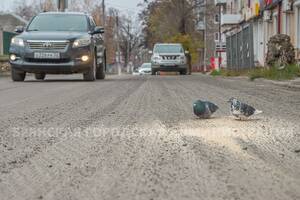 На Камозина в Брянске убрали старый асфальт