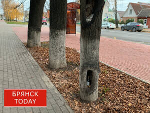 Городские реалии