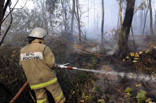 В Унечском районе произошёл лесной пожар
