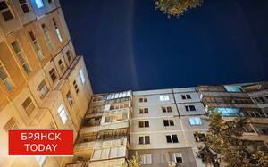 «Начинают терроризировать мирное население»: Богомаз рассказал о жестокости ВСУ