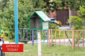 Администрация требует миллион с подрядчика «умной» площадки в Брянске