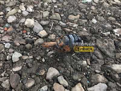 В Бежицком районе Брянска нашли гранату 
