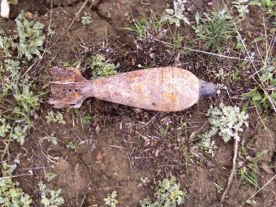 Под Брянском в лесу нашли 2 мины времён войны